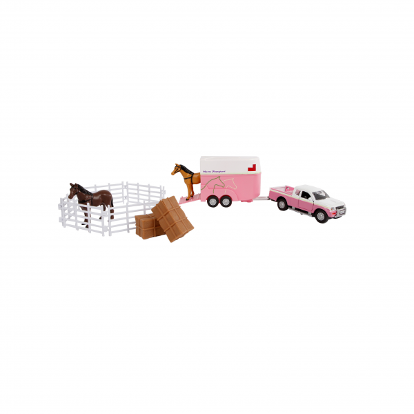 Mitsubishi met paardentrailer en accessoires